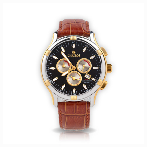 Alpine Chronograph Watch